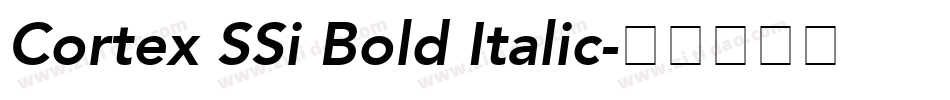 Cortex SSi Bold Italic字体转换